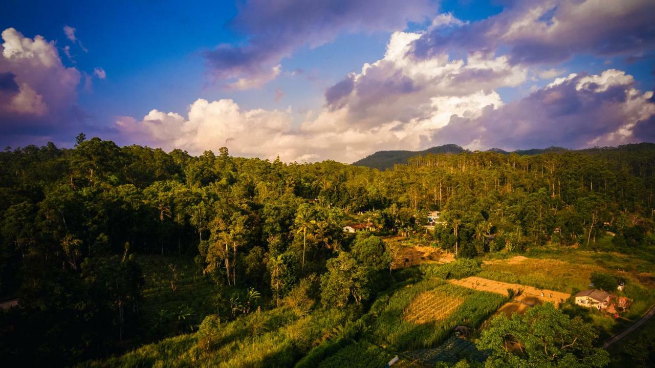 Ella Breeze Homestay 外观 照片